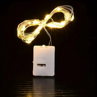 Fairy LED String Lights